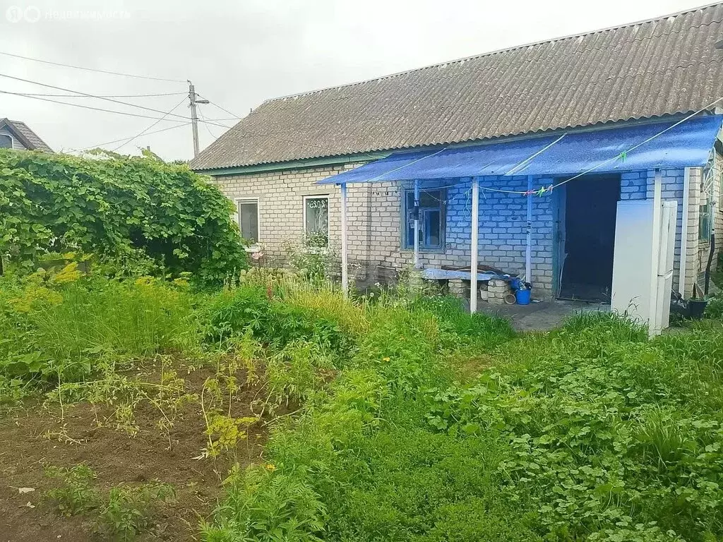 Дом в Стародуб, улица Луначарского (47 м) - Фото 1