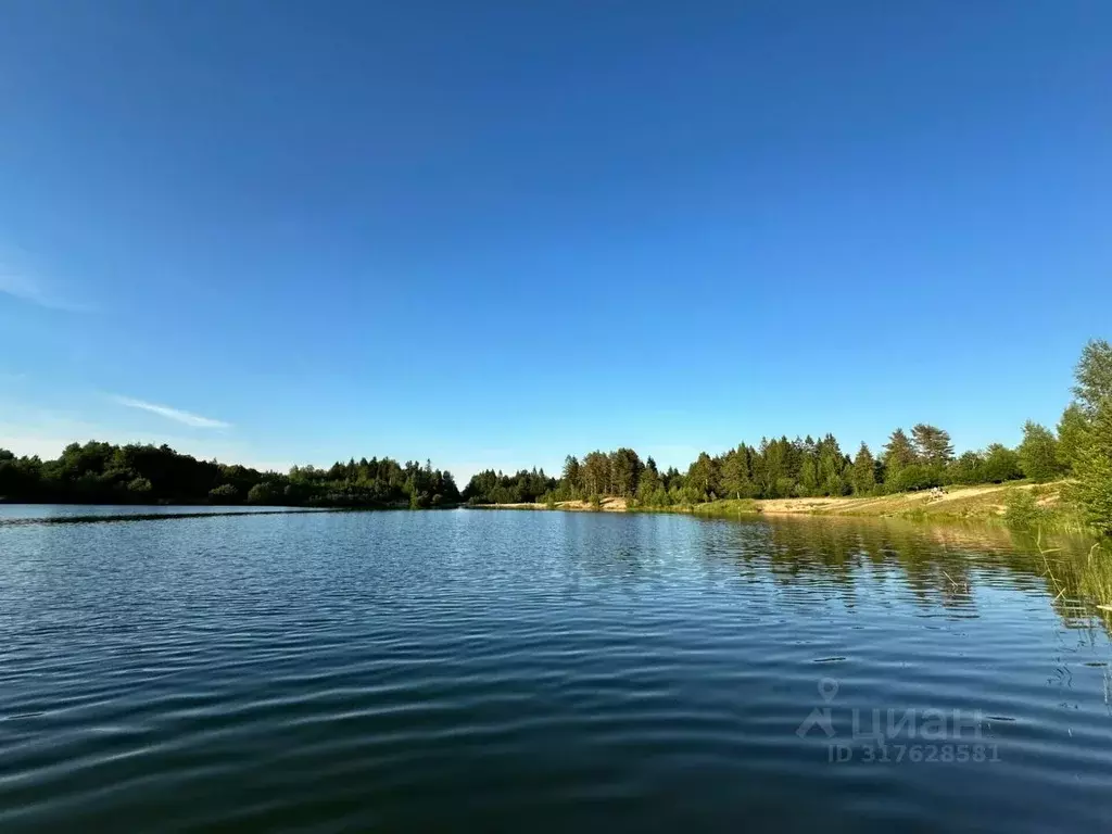 Участок в Ленинградская область, Всеволожский район, Романовское ... - Фото 0