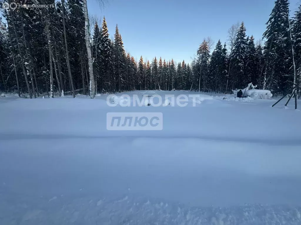 Участок в Сыктывкар, Усадебная улица (14.1 м) - Фото 2