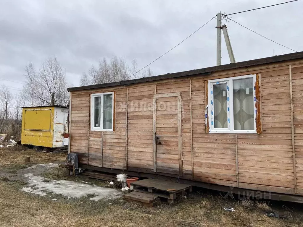 Дом в Новосибирская область, Колыванский район, Надежда СТ  (80 м) - Фото 1