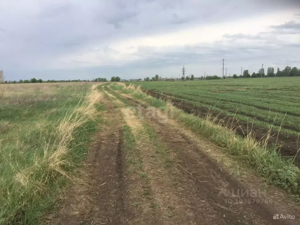 Участок в Самарская область, Ставропольский район, с. Ягодное 10 (13.7 ... - Фото 0