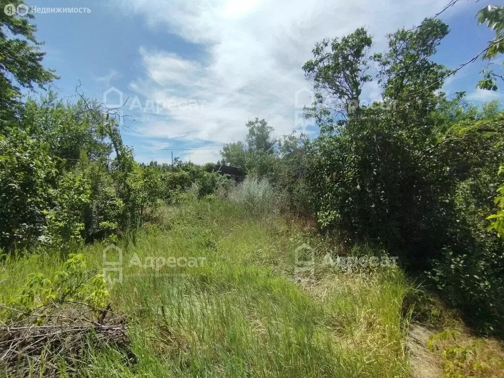 дом в волжский, днт труд, улица лесопитомник (22 м) - Фото 1