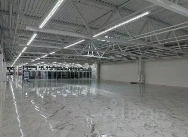 Торговая площадь в Санкт-Петербург Дунайский просп., 27к1 (600 м) - Фото 1