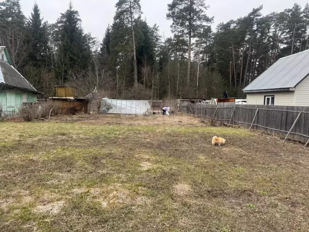 Дом в Брянская область, Сельцо  (26 м) - Фото 1