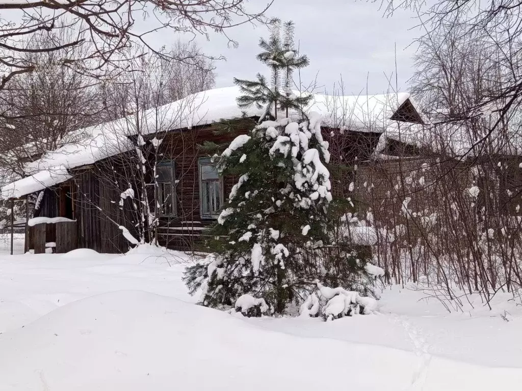 Помещение свободного назначения в Нижегородская область, Ветлуга ул. ... - Фото 2
