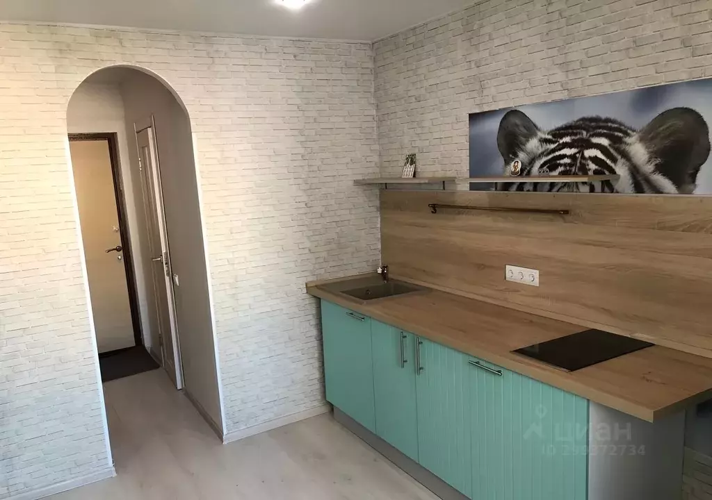 Студия Башкортостан, Уфа просп. Октября, 10 (20.0 м) - Фото 2