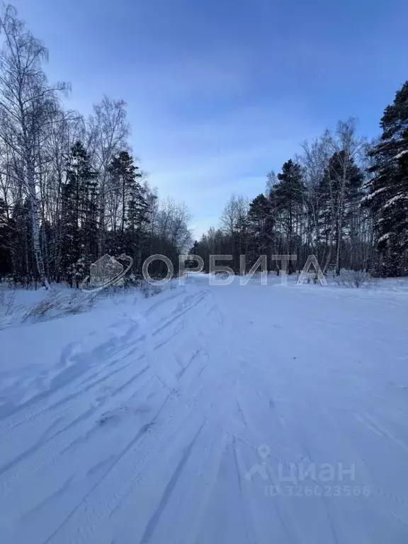 Участок в Тюменская область, Тюмень Центральная пл. (15.0 сот.) - Фото 2