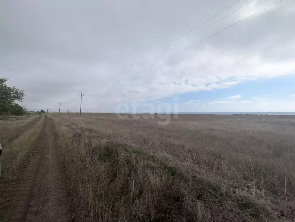 Участок в Крым, Черноморский район, Окуневское с/пос, с. Марьино  ... - Фото 1