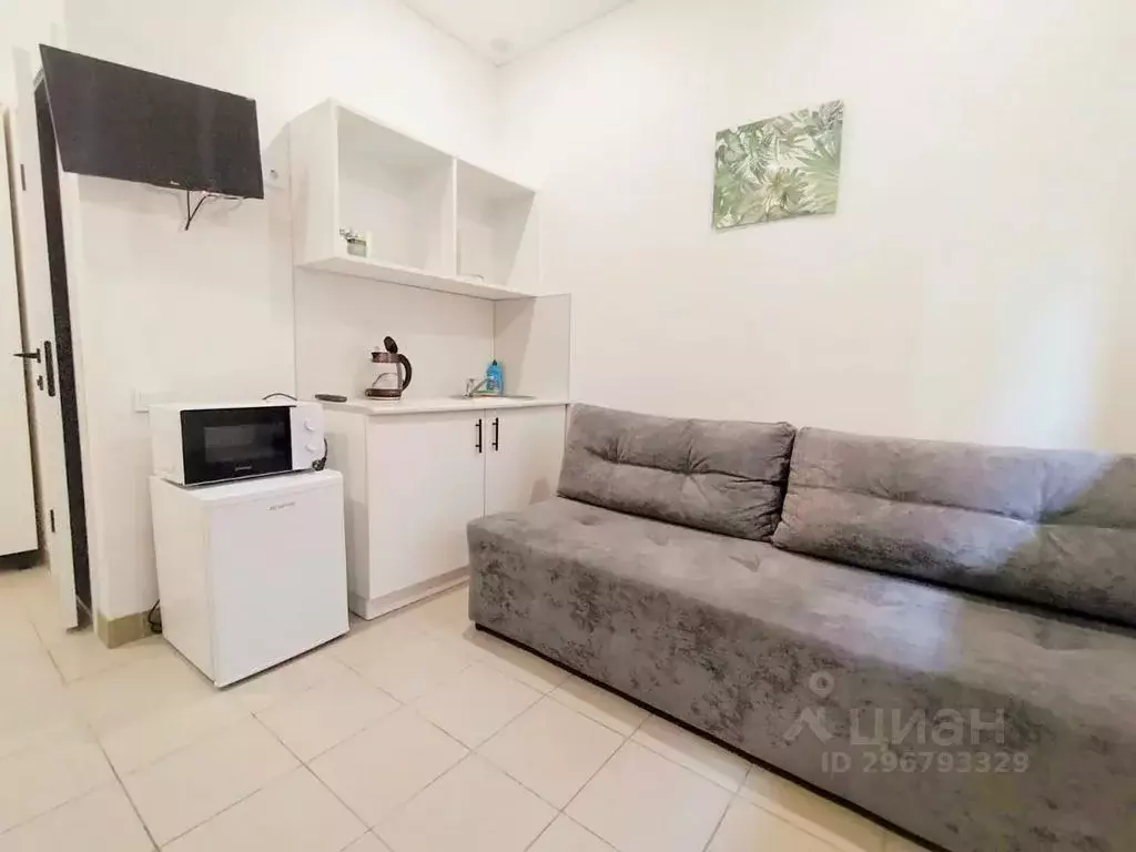 1-к кв. Татарстан, Казань ул. Карла Маркса, 58/12 (19.0 м) - Фото 0