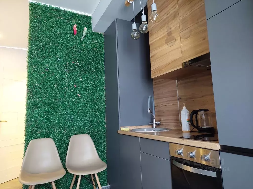 Студия Краснодарский край, Сочи Мамайка мкр, ул. Волжская, 34/4 (28.0 ... - Фото 1