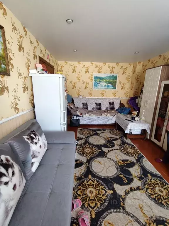 Комната Ульяновская область, Ульяновск просп. Созидателей, 50 (20.3 м) - Фото 2