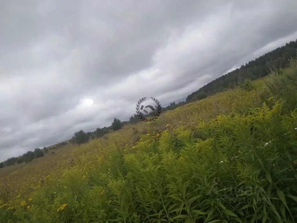 Участок в Калужская область, Дзержинский муниципальный округ, Дворцы ... - Фото 1