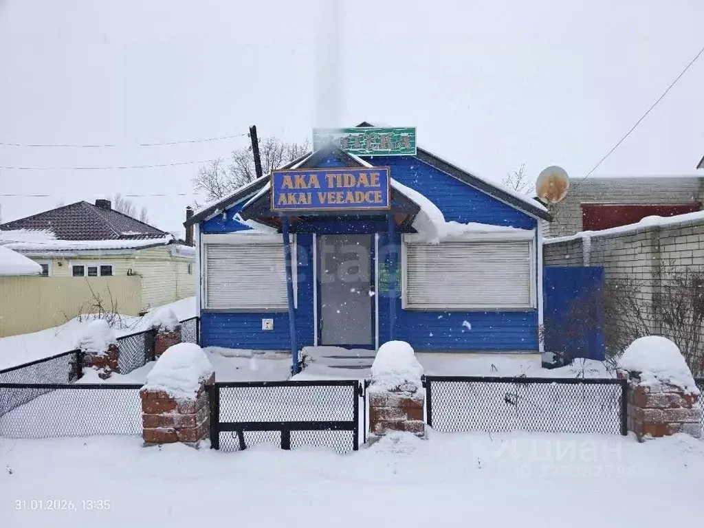 Торговая площадь в Воронежская область, Грибановский пгт ул. ... - Фото 2