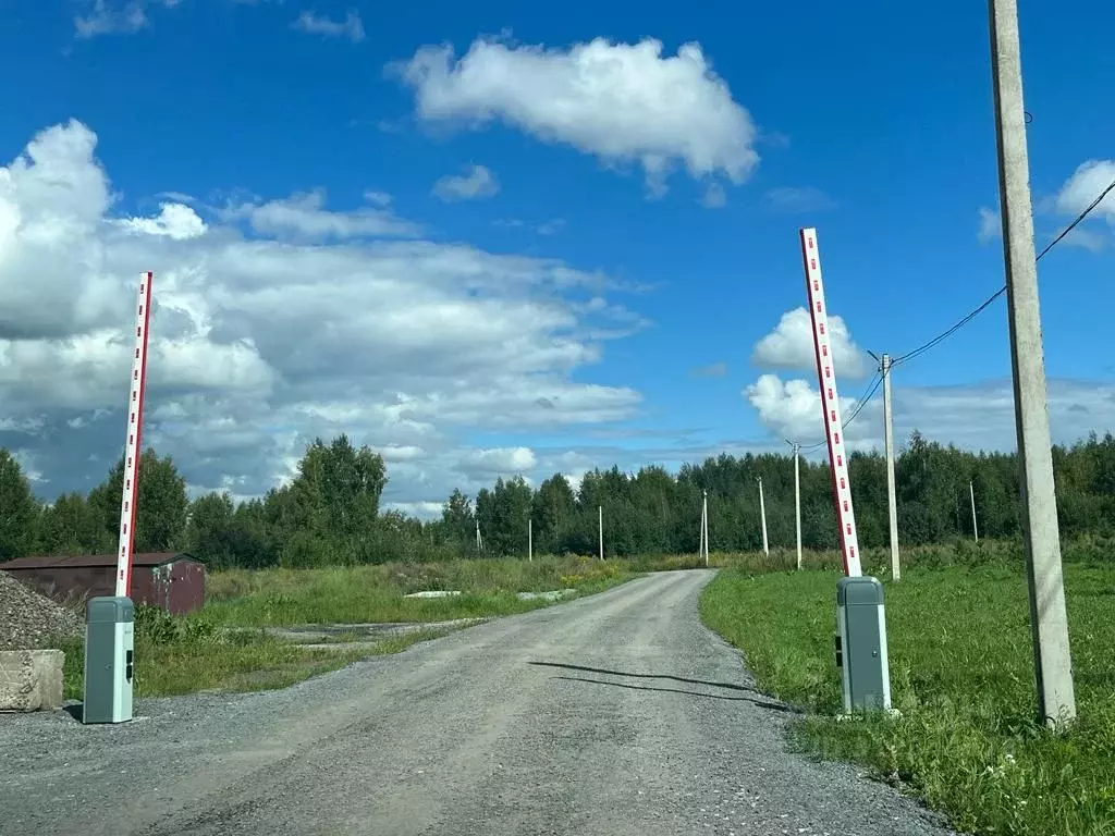 Участок в Новосибирская область, Новосибирский район, Барышевский ... - Фото 1