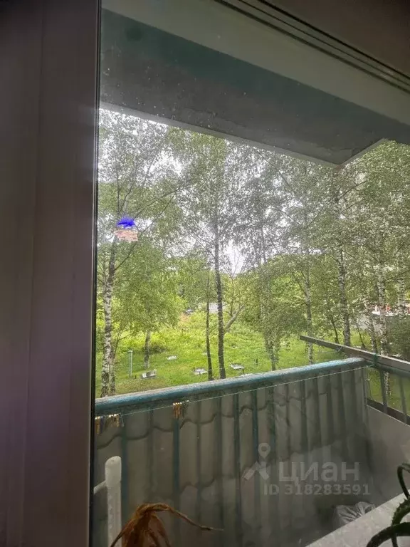 3-к кв. Новосибирская область, Новосибирск ул. Блюхера, 29 (56.3 м) - Фото 1