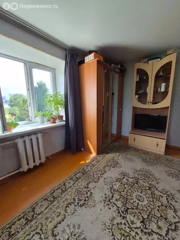 1-комнатная квартира: Краснокамск, улица Чапаева, 63 (29.7 м) - Фото 2