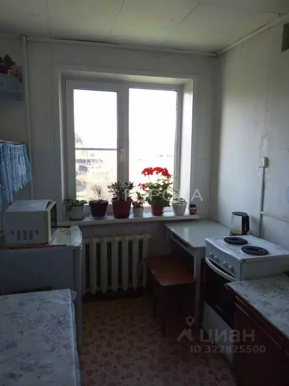 2-к кв. Алтайский край, Первомайский район, с. Первомайское, ... - Фото 0