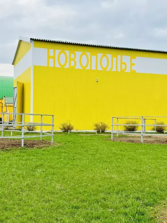 Участок в Ленинградская область, Ломоносовский район, Горбунковское ... - Фото 0