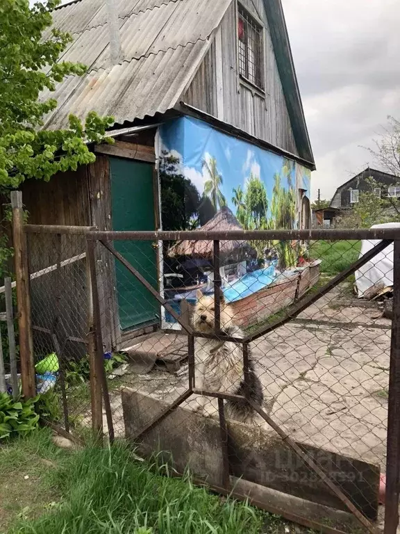 Дом в Омская область, Омск СОСН Ранет тер.,  (56 м) - Фото 1