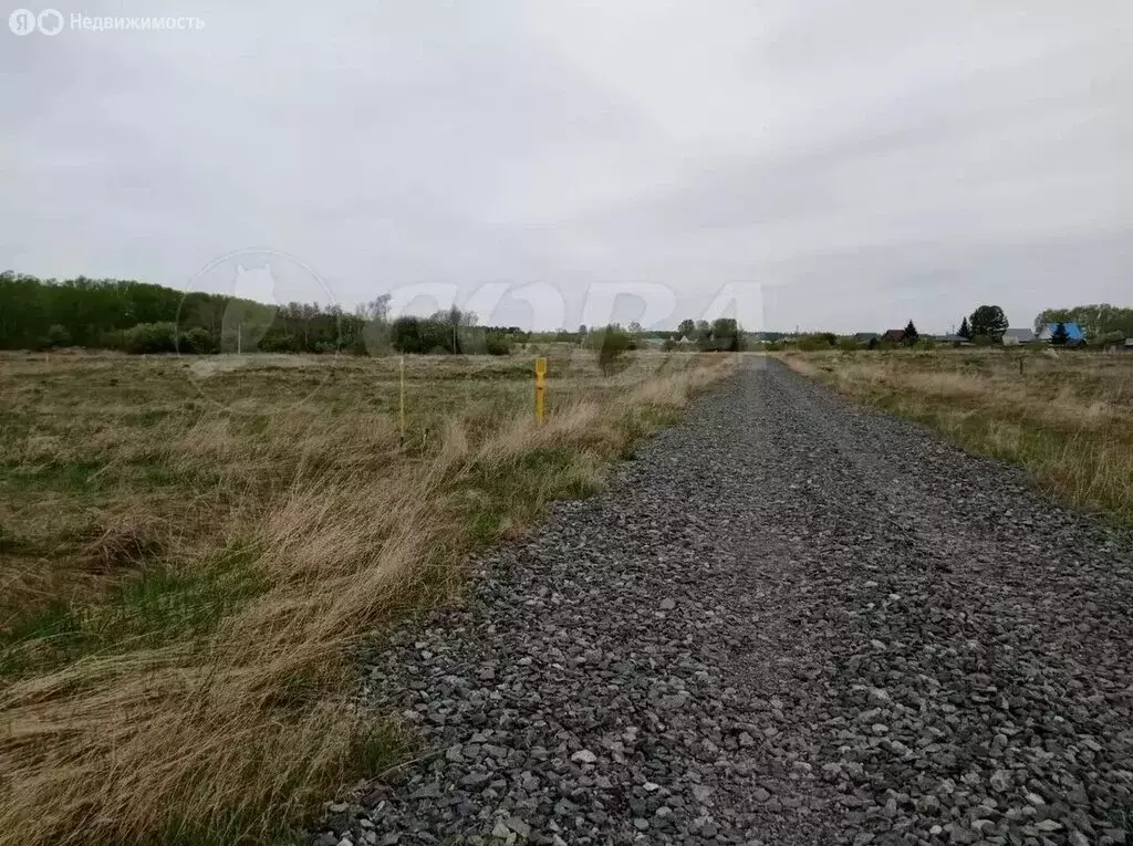 Участок в Ялуторовский район, село Сингуль Татарский (12 м) - Фото 1