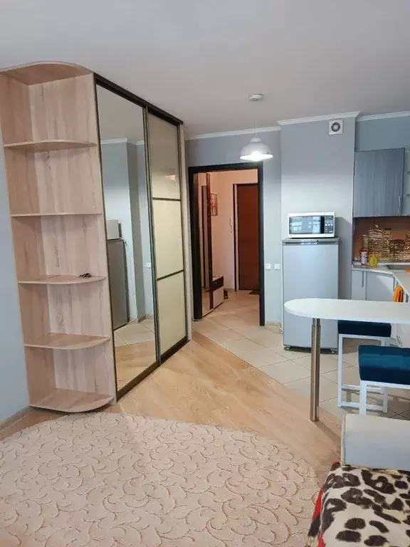 Студия Красноярский край, Красноярск Соколовская ул., 70 (30.0 м) - Фото 1