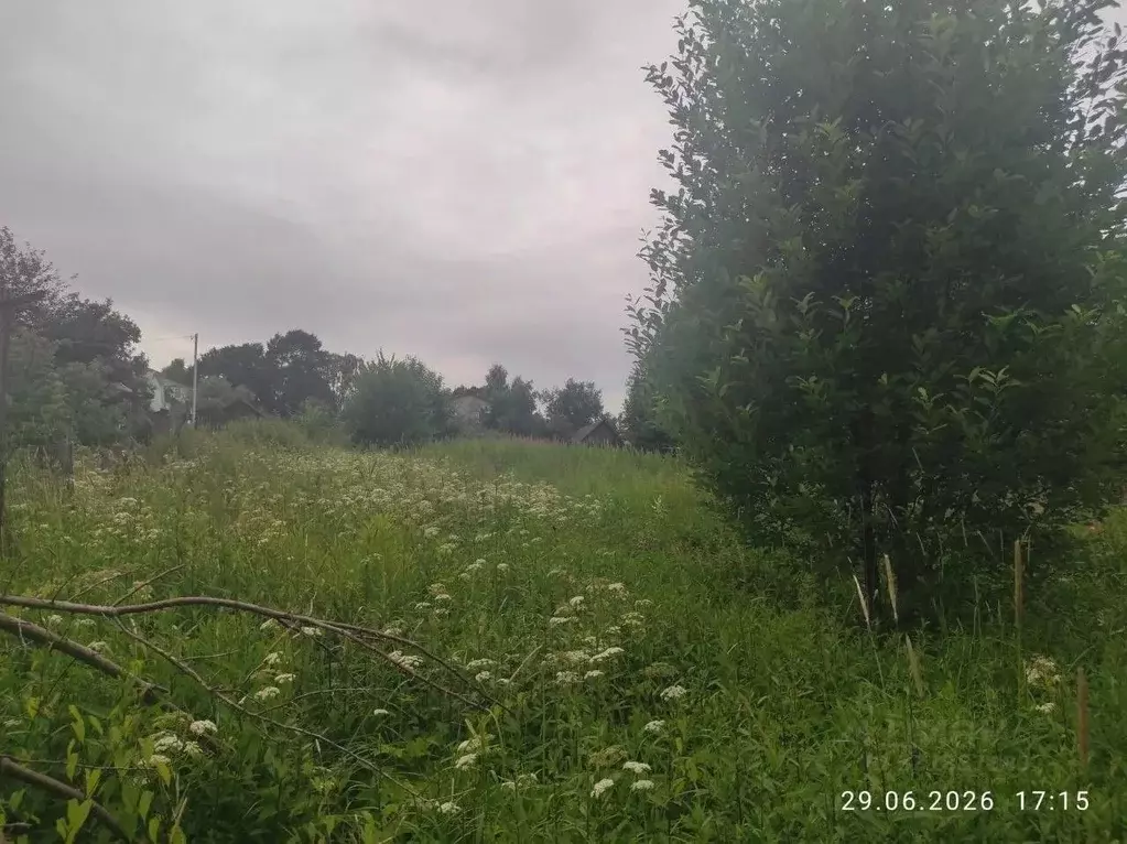 Участок в Московская область, Солнечногорск городской округ, д. ... - Фото 1