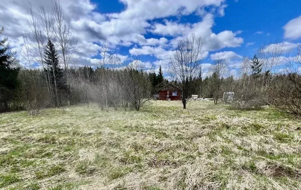 Участок в Ленинградская область, Выборгский район, Селезневское с/пос, ... - Фото 2