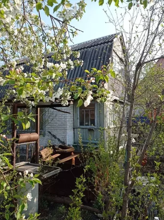 Дом в Курганская область, Курган Строитель-3 СНТ, ул. Новая (40 м) - Фото 0