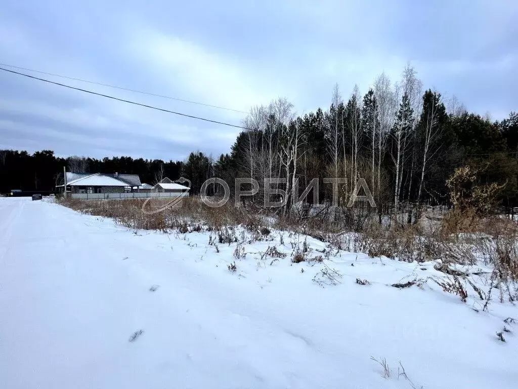 Участок в Тюменская область, Тюменский район, с. Каменка ул. Тюменская ... - Фото 1