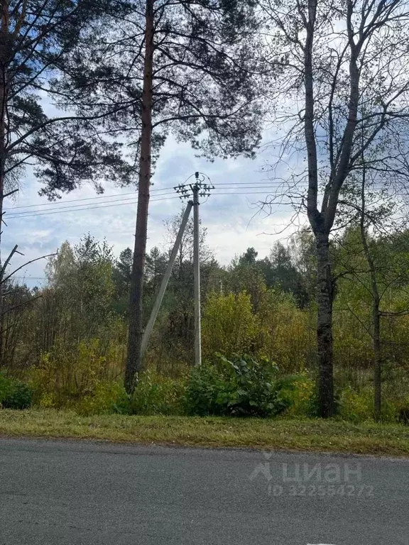 Участок в Брянская область, Брянский район, Журиничское с/пос, пос. ... - Фото 1