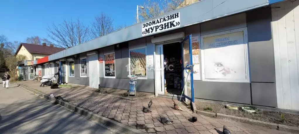 Торговая площадь в Калининградская область, Калининград Беговая ул., 1 ... - Фото 1