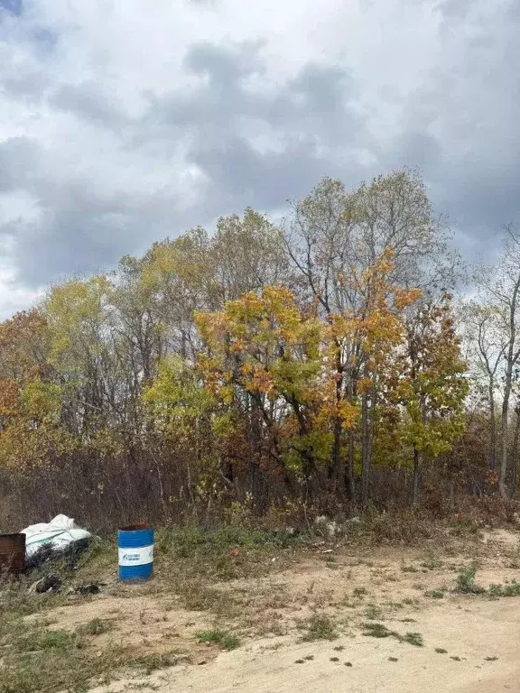 Участок в Амурская область, Благовещенский район, с. Кантон-Коммуна  ... - Фото 1