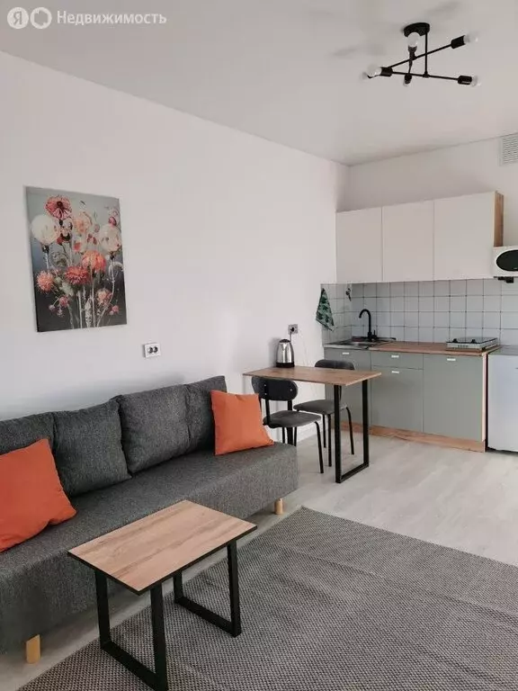 Квартира-студия: Санкт-Петербург, проспект Ветеранов, 210 (24.5 м) - Фото 1