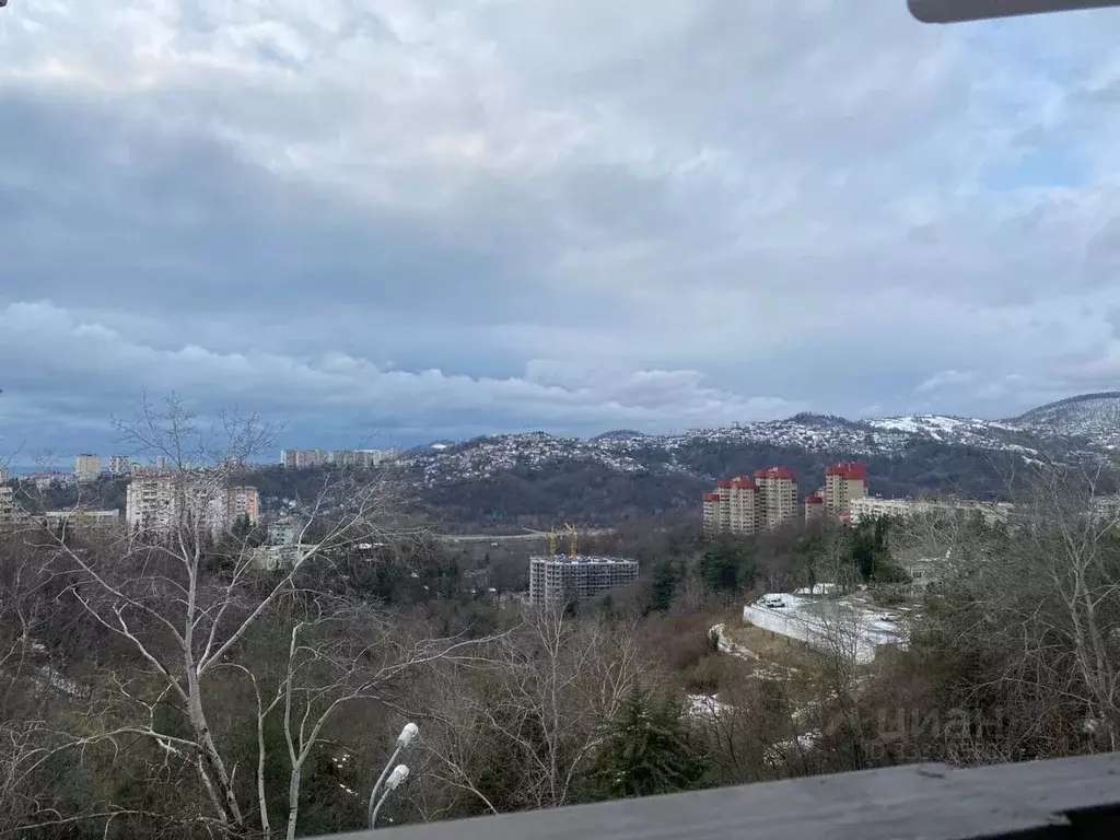 3-к кв. Краснодарский край, Сочи Вишневая ул., 10/4 (80.0 м) - Фото 2