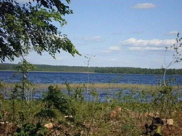 Участок в Новгородская область, Демянский муниципальный округ, д. ... - Фото 1