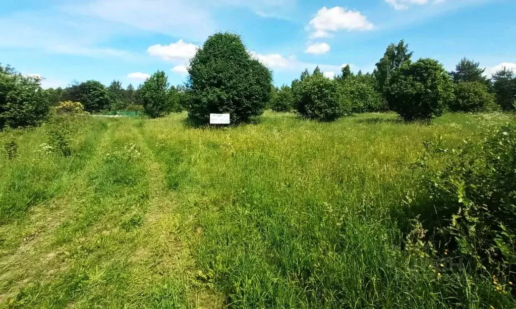 Участок в Ленинградская область, Приозерский район, Красноозерное ... - Фото 0