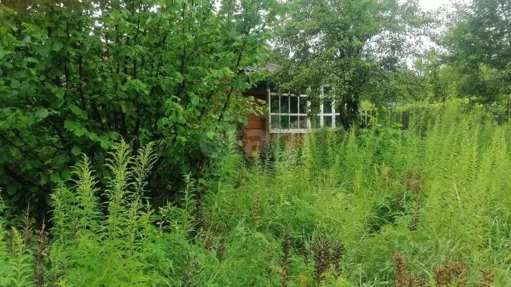 Участок в Воронежская область, Воронеж Завода радиодеталей СНТ,  (6.0 ... - Фото 0