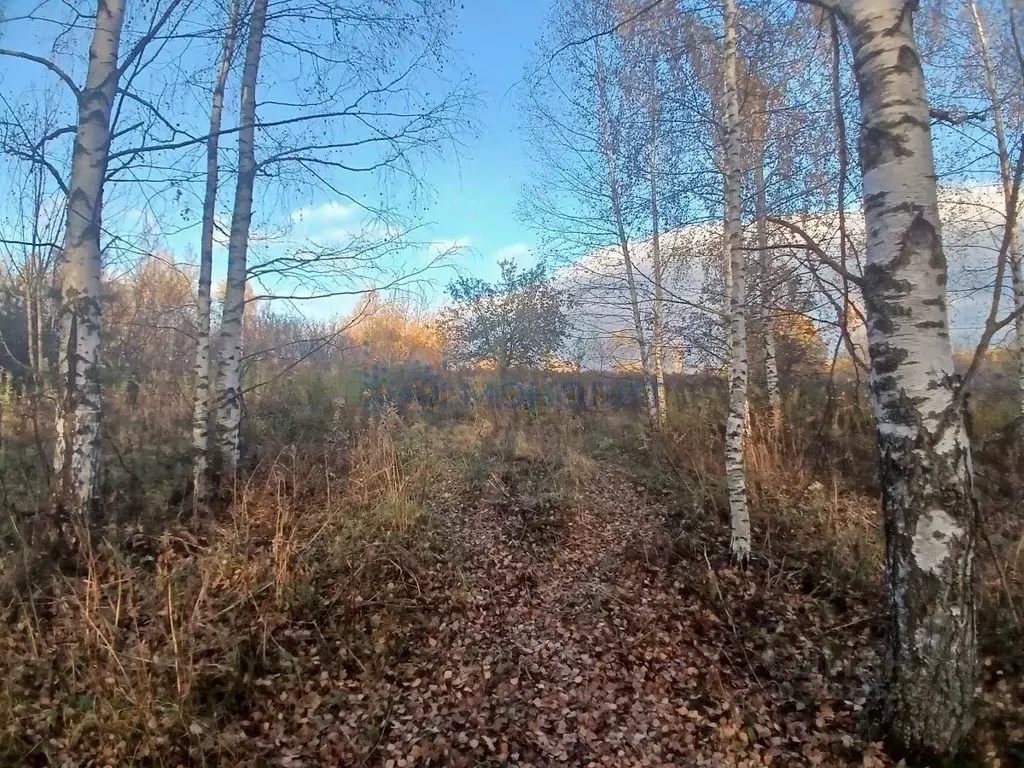 Участок в Нижегородская область, Дальнеконстантиновский муниципальный ... - Фото 2