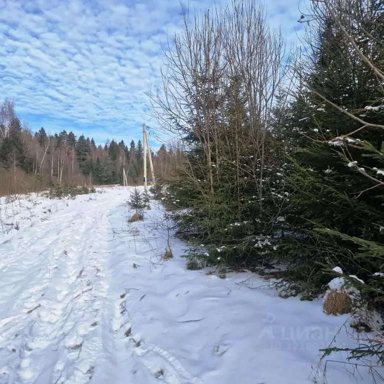 Участок в Калужская область, Совхоз Боровский с/пос, д. Сороковеть  ... - Фото 2