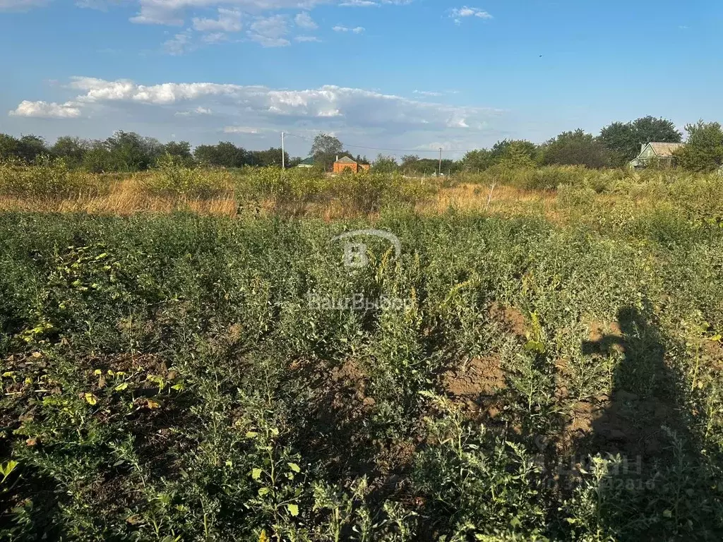 Участок в Ростовская область, Аксайский район, Верхнеподпольненское ... - Фото 0