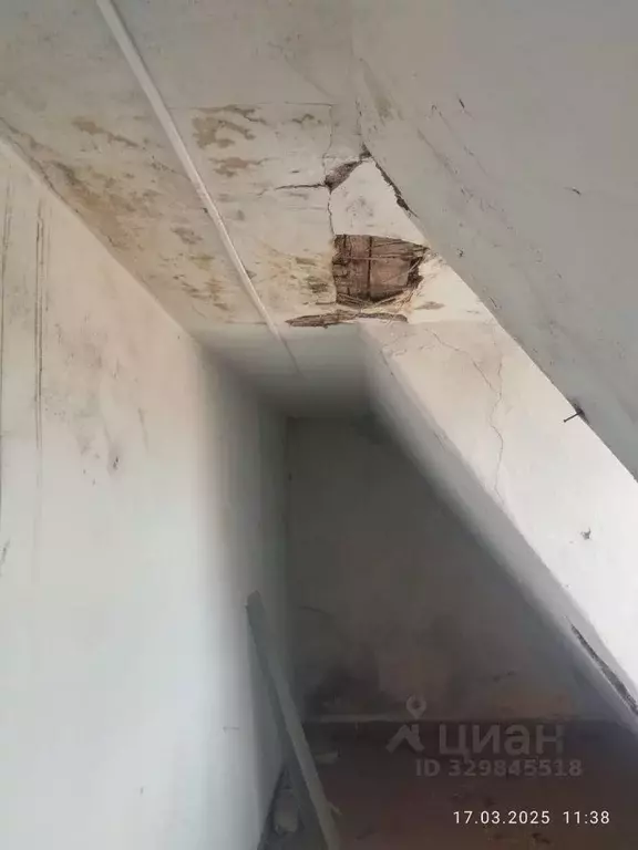 Помещение свободного назначения в Калининградская область, Неманский ... - Фото 1