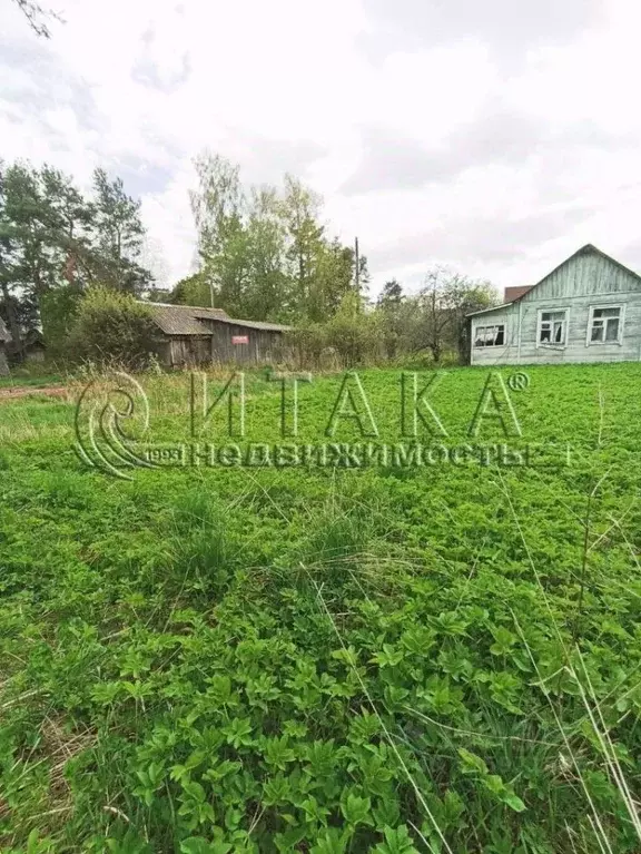 Участок в Ленинградская область, Выборгский район, Селезневское с/пос, ... - Фото 1