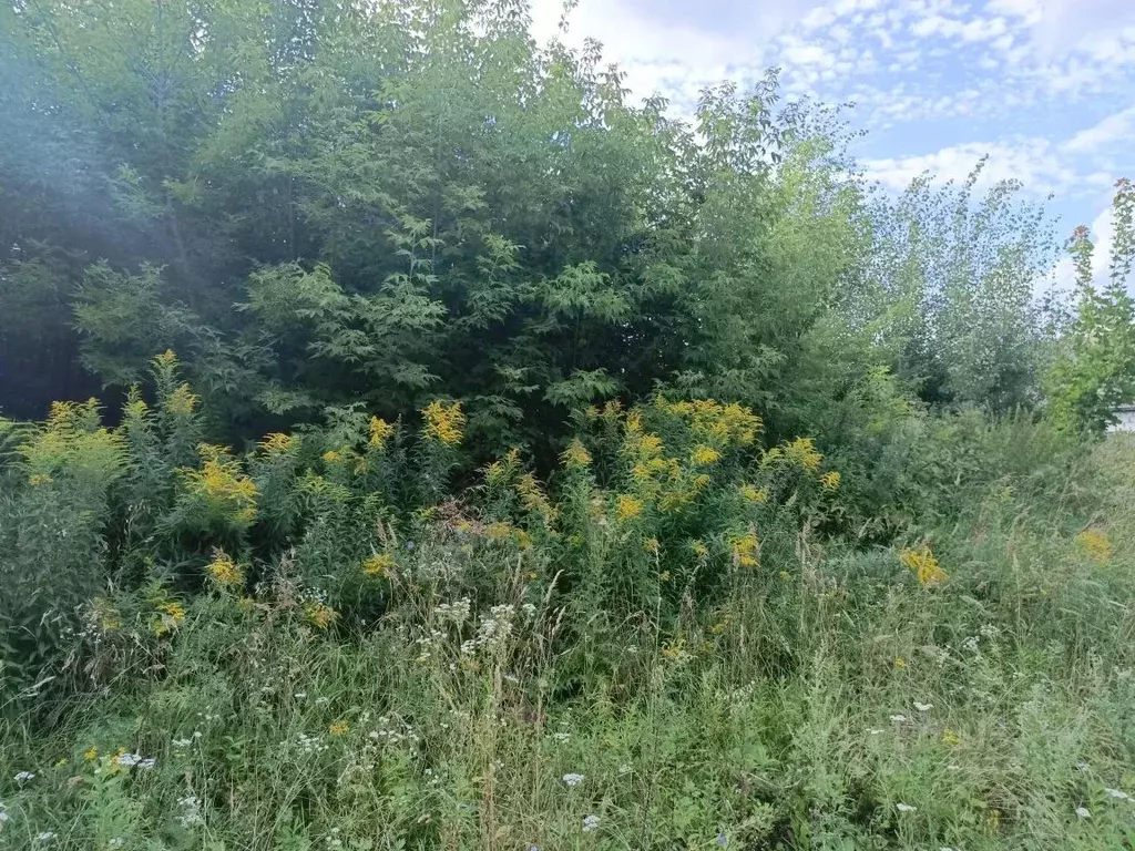 Участок в Московская область, Кашира городской округ, д. Тарасково  ... - Фото 1