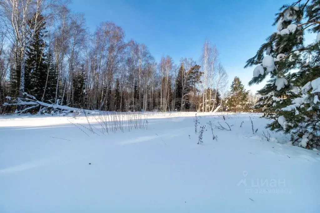 Участок в Тюменская область, Нижнетавдинский муниципальный округ, ... - Фото 1