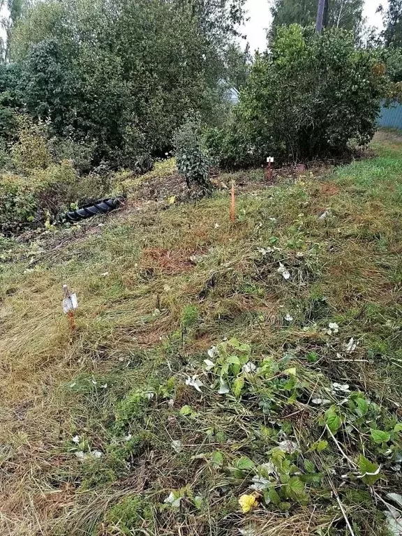 Участок в Ленинградская область, Выборгский район, Гончаровское с/пос, ... - Фото 2