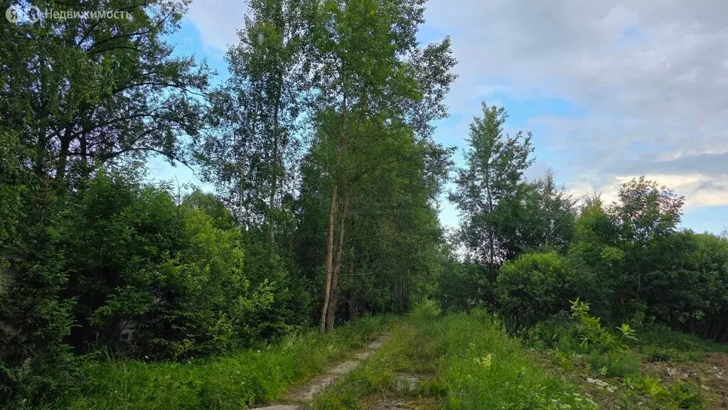 Участок в Наро-Фоминский городской округ, деревня Жёдочи (6.28 м) - Фото 2