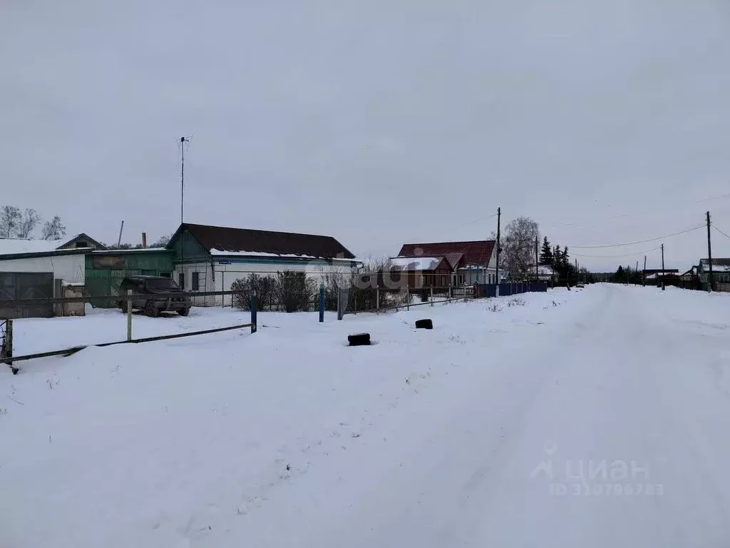 Дом в Омская область, Азовский Немецкий Национальный район, с. ... - Фото 1