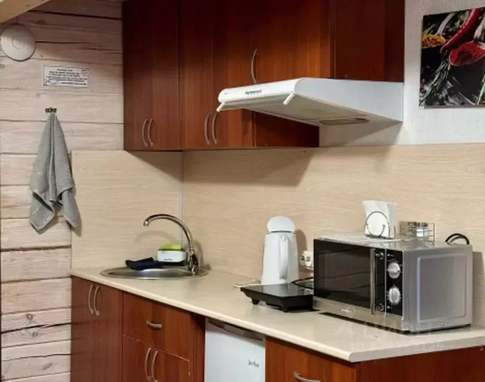 Дом в Пермский край, Добрянка ул. Береговая, 36 (45 м) - Фото 2