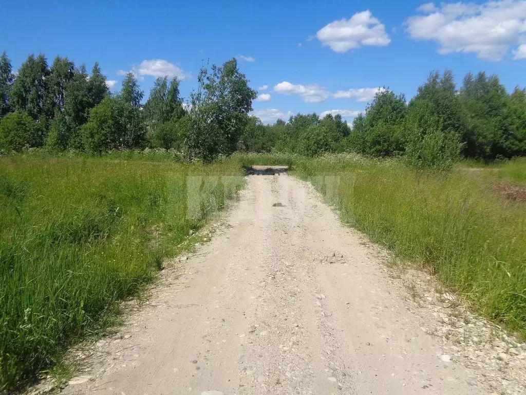 Участок в Вологодская область, Сокольский муниципальный округ, с. ... - Фото 2