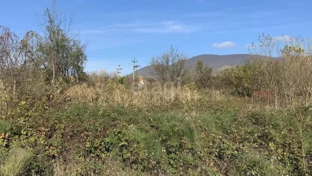 Участок в Краснодарский край, Новороссийск городской округ, с. ... - Фото 0